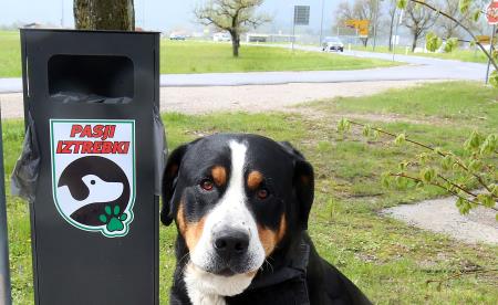 KOŠ ZA PASJE IZTREBKE CERKNICA PRI KAPELICI 00 FOTO LJUBO VUKELIČ (1)
